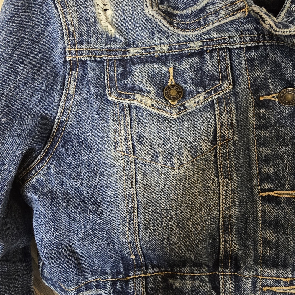 Denim Cropped Jacket - Picture 3 of 4
